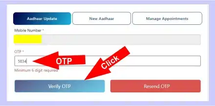 aadhaar Verify OTP