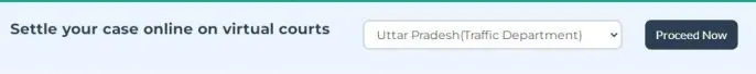 E Challan Kaise Bhare Online | How To Pay Challan Online 3 e challan kaise bhare online select department